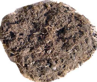 General Use Plant Soil (Peat)-20 liters