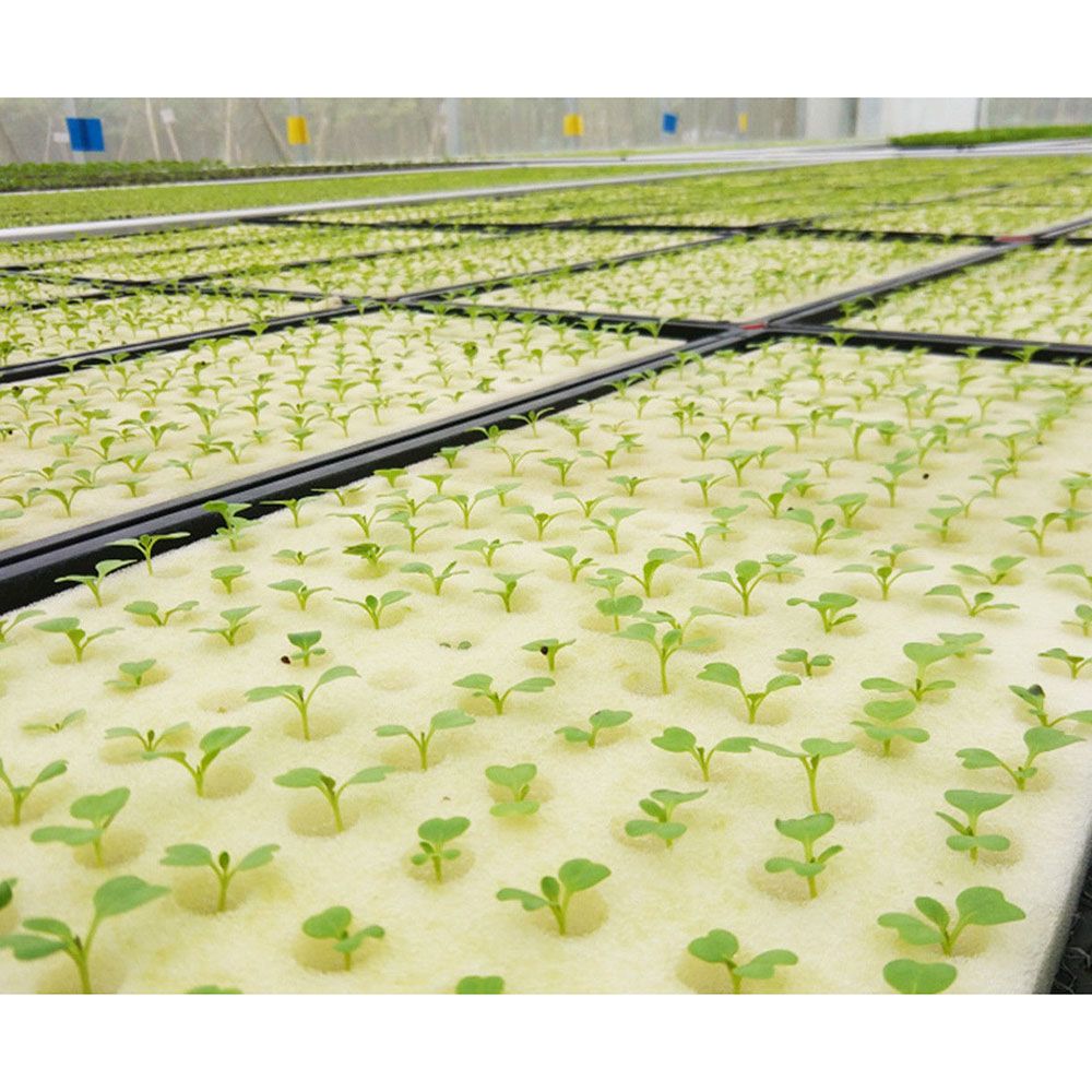 100Pcs Cubes Sponge Hydroponic Vegetable Pots Nursery Water Plant Cultivation Soilless Culture Planting Seedling Home Garden