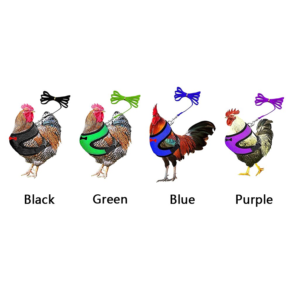 Pettorina per pollo da allenamento per ciotole forniture per pollame cinturino regolabile elastico con guinzaglio a passeggio all'aperto la moda maglia galline gilet per animali domestici