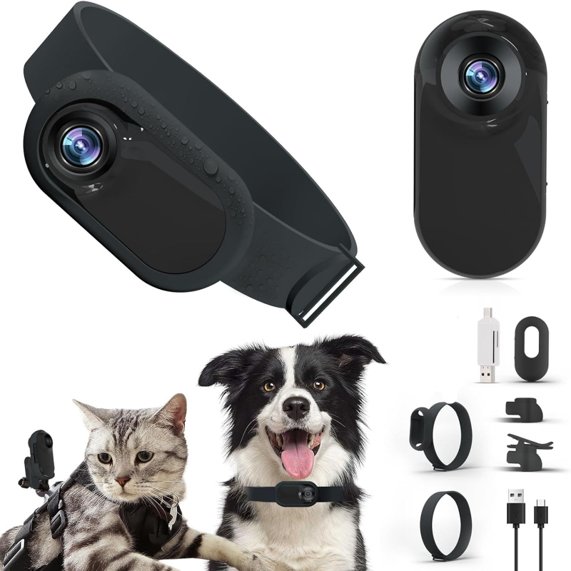 HD 1080P Draadloze Halsband Camera Geen WiFi Nodig Hond Kat Huisdier Camera Kraag Nanny Camera Video Records voor Katten Honden: Paars
