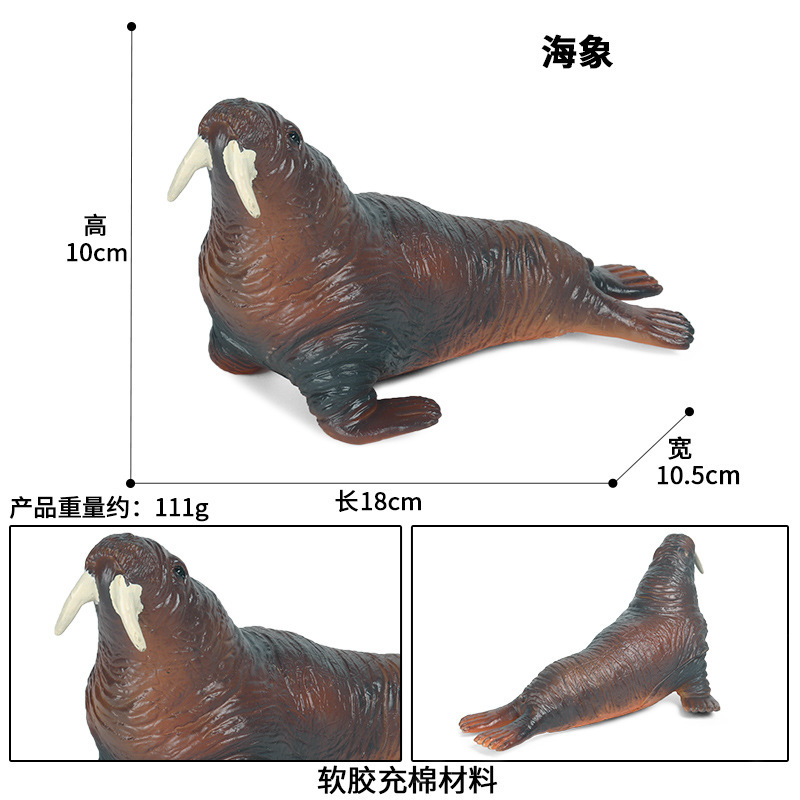 Simulatie Oceaan Dier Seal Zeeleeuw Walrus Model Action Figure Beeldjes Collectie Cognitie Educatief Childrens Toys: JS walrus