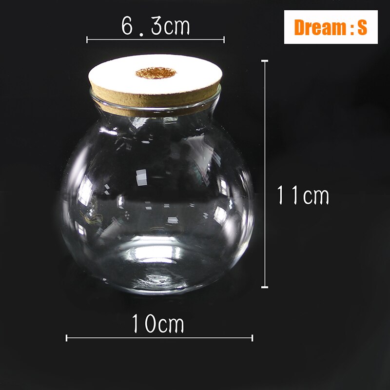 Mini Glass Fish Tank Betta Fish Tank Aquarium Fish Tank Micro Landscape Ecological Bottle Empty Bottle DIY Aquarium Accessories: Dream S