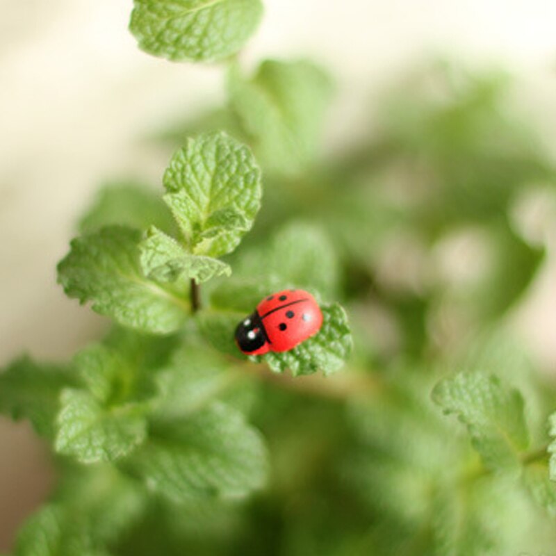 30pcs Of Beetle Wooden Ladybug Wall Stickers Refrigerator Magnet Children Kids DIY Craft Wedding Family Party Decoration