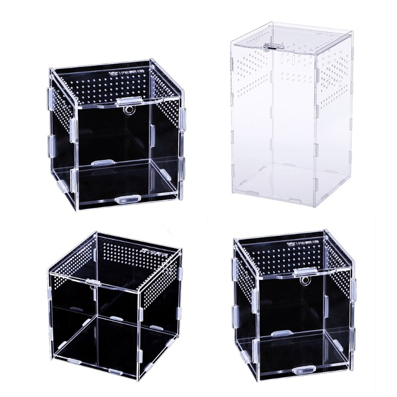 Insect Feeding Box Transparent Container Acrylic Terrarium for Spiders Small Snakes Reptile Carrier Box Easy to Assemble