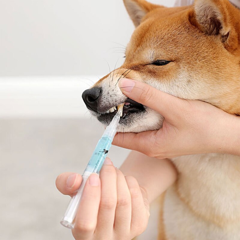 5ml Haustiere Zähne Reinigung Werkzeug Hunde Katzen Zahnstein Entferner Zahn Steine Schaber Kunststoff Reinigung Kuli Reinigungs Werkzeuge praktisch acc