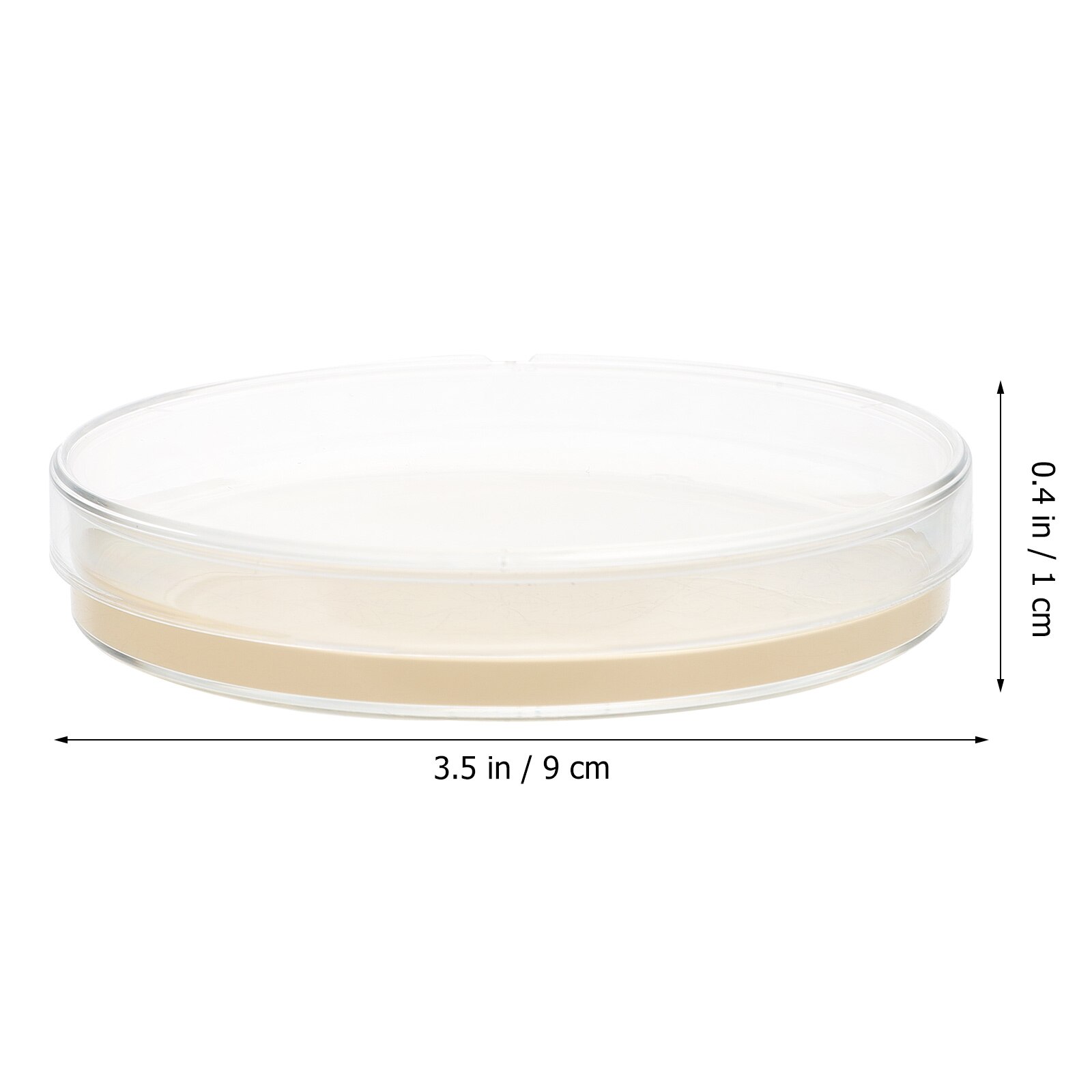 10pcs Petri Dishes with Agar Laboratory Agar Plates General Growth Medium