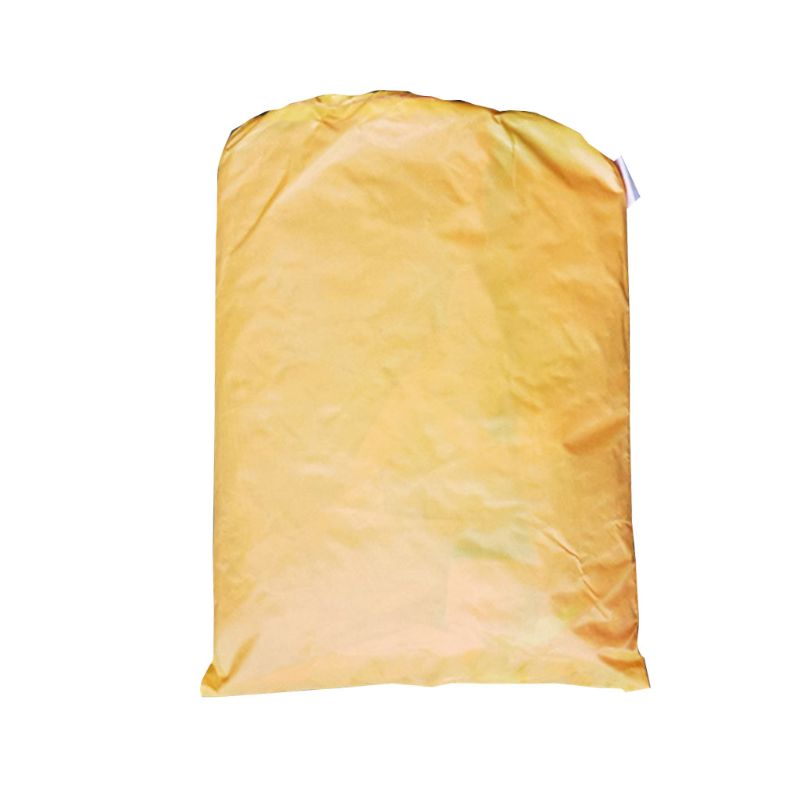 Goldfish Kite - Large Frameless Soft Parafoil - Family Outdoor Entertainment Sport