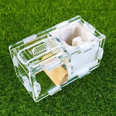 Maur slott maur spleise slott bionisk akryl gips maur reir kjæledyr maur slott verksted hjem maur reir: F4