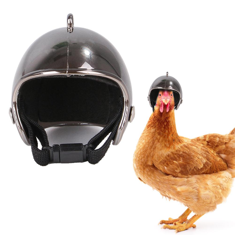 Kæledyr hjelm sjov beskyttende kylling hjelm høne fugl hat hovedbeklædning kæledyr dekoration: Sort