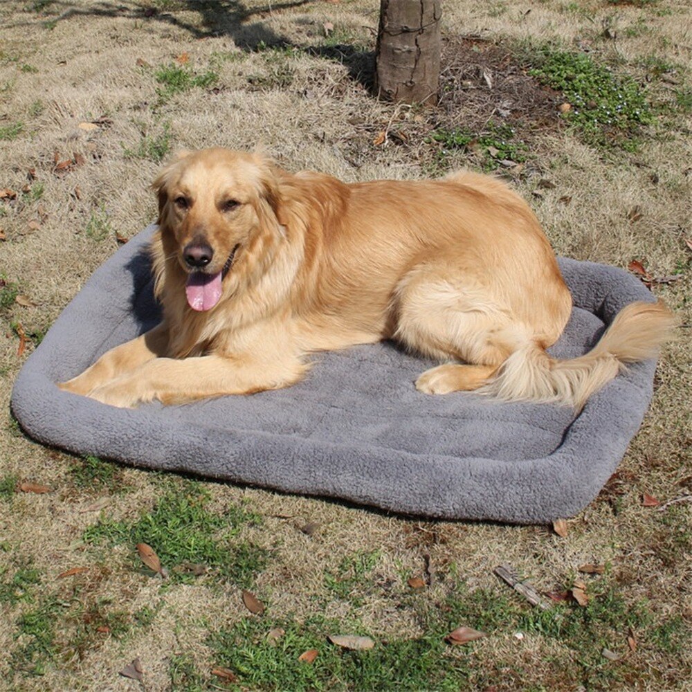 Cama de perro grande, cesta para banco, esterilla, Chihuahua, perrera, suministro de sofá para mascotas, casa de perro, cojín grande para gato,