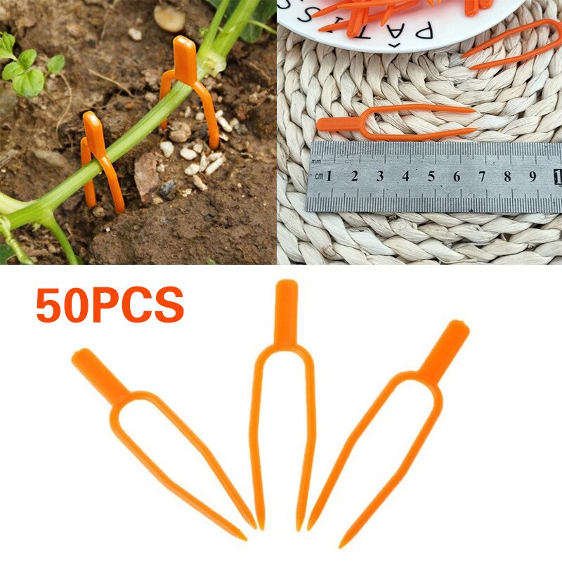 Plastic Plant Clips Tuin Voor Bevestiging Bevestiging Armatuur Klem Aardbei Vork Plant Ondersteuning Tuingereedschap