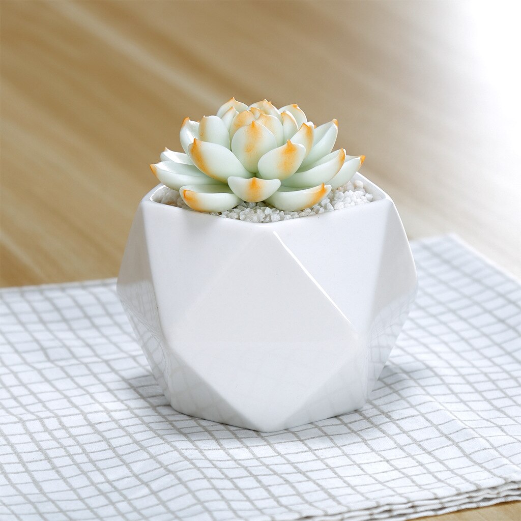Maceta de flores suculentas de pentagonal con costura triangular de cerámica blanca creativa, maceta casera para Cactus Lithop con maceta de agujero inferior