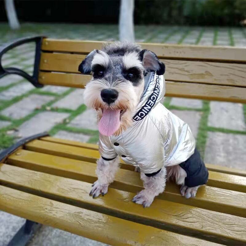 Roupa de inverno para cachorros, macacão quente para cães de quatro pernas, roupa para cachorro pequeno, grosso, casacos para chihuahua buldogue