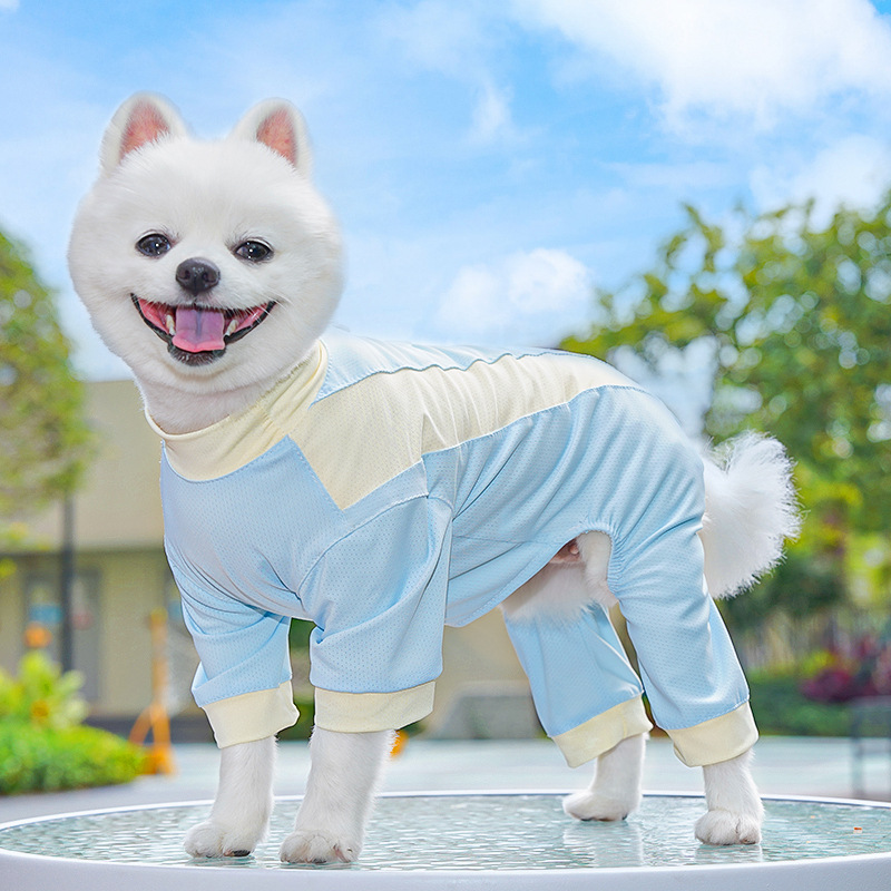 Mesh Huisdier Zomerkleding Ijs Zijde Doek Jumpsuit Pyjama Voor Kleine Honden Teckel Blauw Paars Puppy Pyjama Onesie Hond Trainingspak