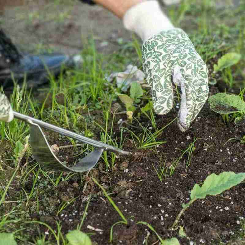 Trädgårdsredskap rostfritt stål rotborttagare ogräsrivare dra spade grävmaskin dedikerad rotborttagare planta