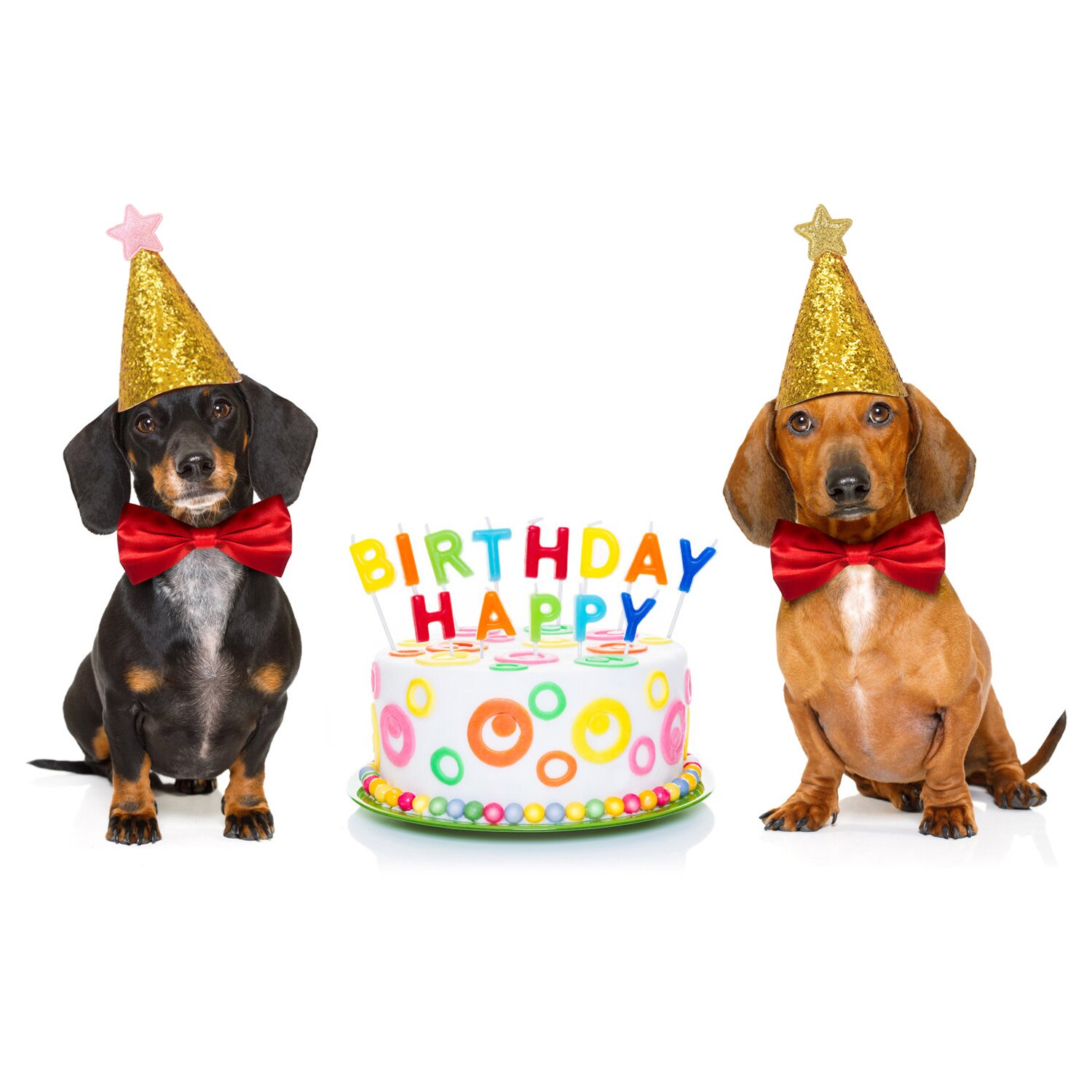 2 uds mascota cumpleaños sombrerería de gorras sombrero traje de de sombreros brillo lentejuelas sombreros con estrellas ropa para mascotas Ropa Accesorios