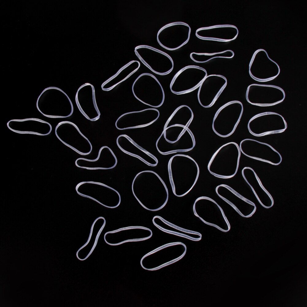 500Pcs Hair Tie Band Paardenstaart Houder Elastische Rubber Clear White Vrouwen Diy Haar Styling Tools Accessoire Cirkel Paardenstaart Hoofddeksels