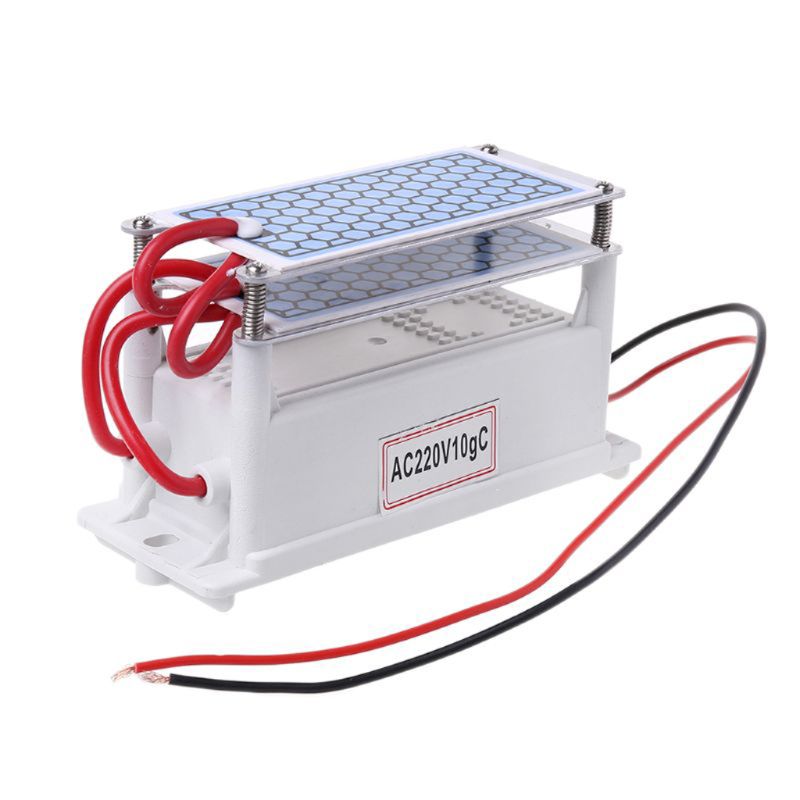 Generador de ozono portátil de 10 g/h DC12V/AC220V ozonizador cerámico integrado