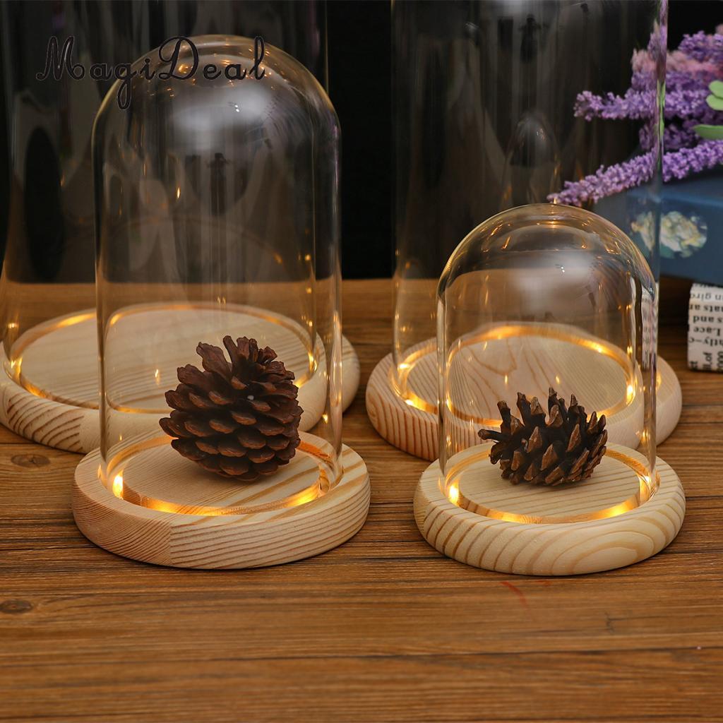 Desk Decor Glass Light Up Display Dome Cover Shade Shield With Wood Cork Home Decorations for Pub Bar Cafe