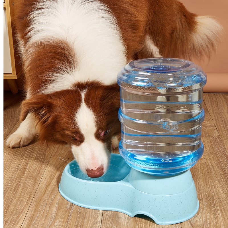Distributeur d'eau de grande capacité pour animaux de compagnie, alimentation automatique pour chien, bol de nourriture pour petit chien, dispositif de bouteille de simulation, fournitures pour animaux de compagnie, 3,8 L