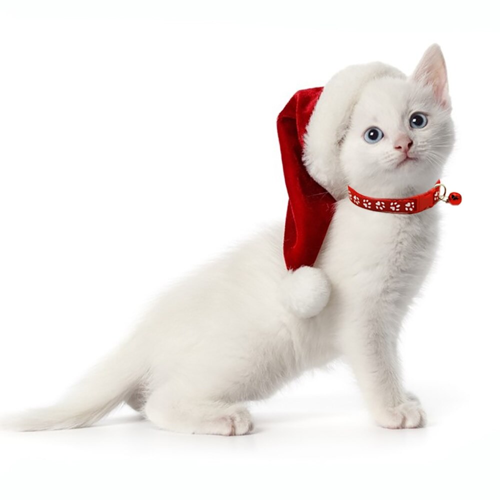 Collier avec cloche pour chat, 8 couleurs, accessoires pour animaux de compagnie, à boucle réglable, pour petit chien, Chihuahua