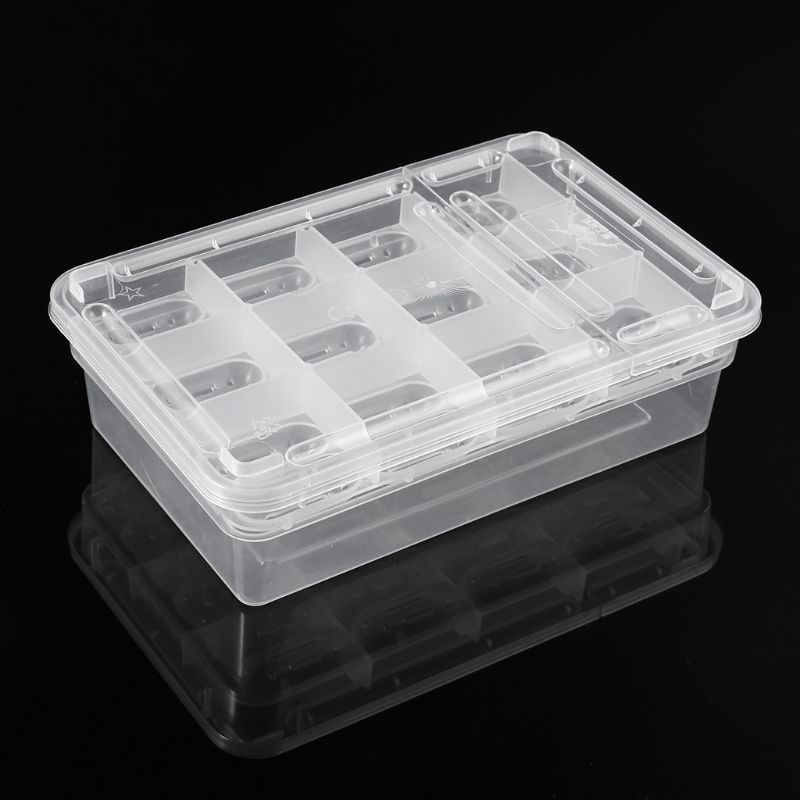 Incubadora de huevos para reptiles caja huevos bandeja Gecko camaleón herramienta de incubación