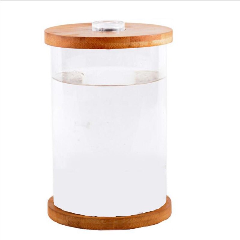 DIY Pattern Ecological Bottle Fish Micro Landscape Aquarium Small Fish Living Bucket Desktop Small Fish Tank
