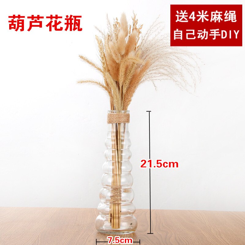 Jarrón de vidrio transparente , florero moderno minimalista hidropónico nórdico, adornos para el hogar, florero de flores secas: S-without flowers