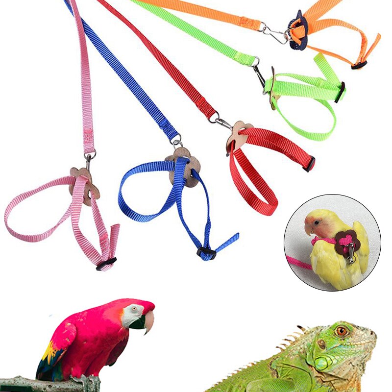 Verstelbare Hamster en Eekhoorn Tuigje met Looplijn, Huisdier Training Leiband voor Dwerghamster, Gerbil, Rat en Muis, Blauw en Paars Verstelbare Hamster en Eekhoorn Tuigje met Looplijn, Huisdier Training Leiband voor Dwerghamster, Gerbil, Rat en Muis, Blauw en Paars