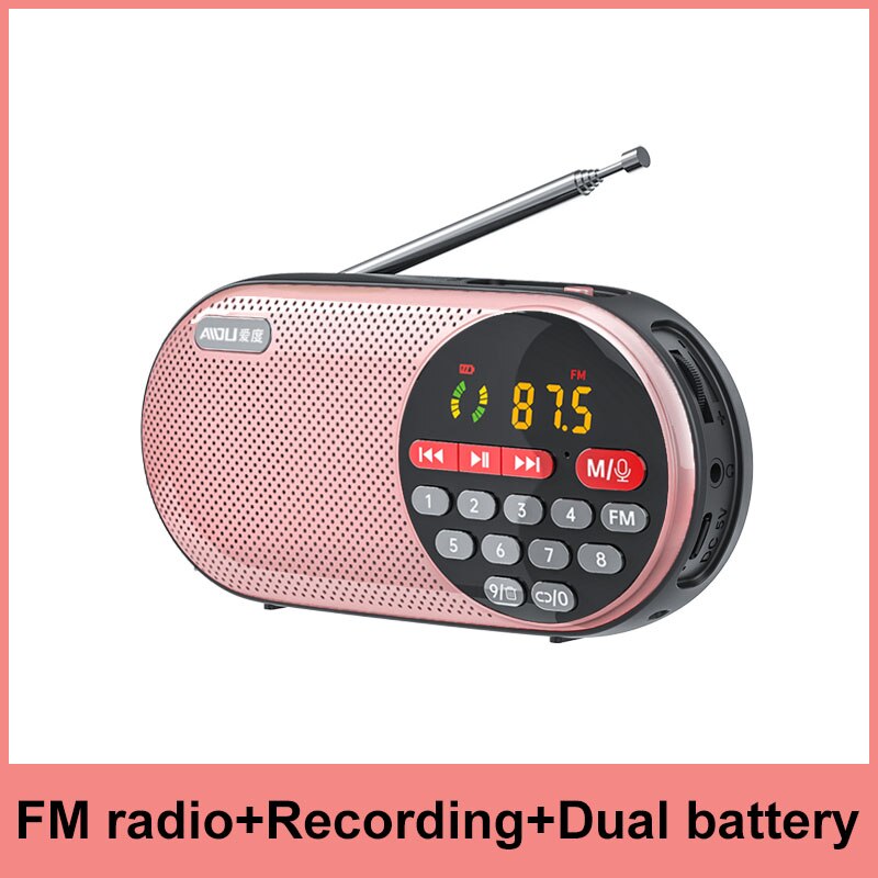 4000mAH Rechargeable FM Radio Portable Speaker Music Player with LED Display Support TF Card U Disk 3.5mm Headphone Jack: Rosegold Record
