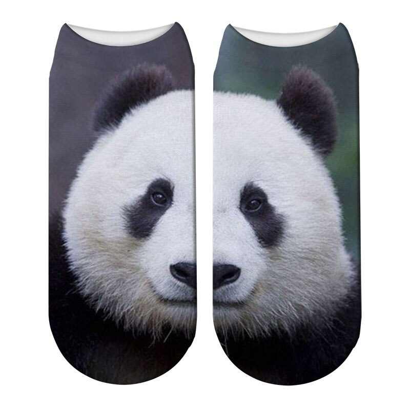 Schattige panda bedrukte sokken korte dieren damessokken terreur nieuwigheid sokken lage enkelsokken 5 zws 69: Stijl 3