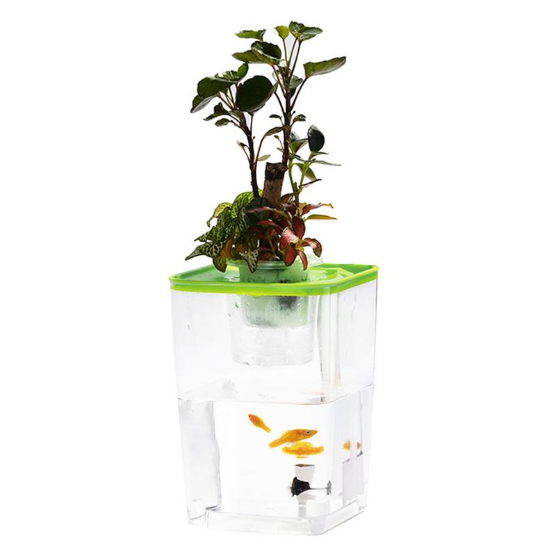 Pecera acrílica para peces y verduras, pecera transparente de escritorio para acuario, agua libre de simbiótica, para oficina, original: Green