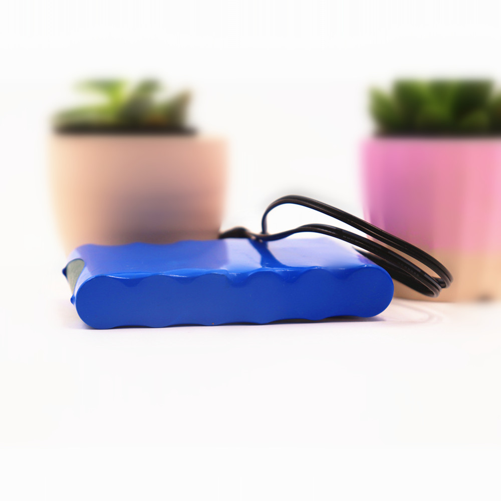 Portable Super 12V 30000mah Battery Rechargeable Lithium Ion Battery Pack Capacity DC 12.6v 20Ah CCTV Cam Monitor + Charger