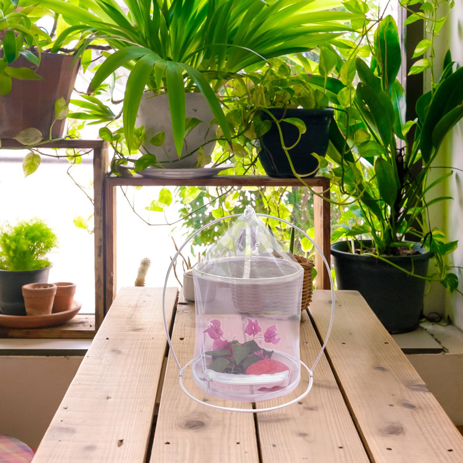 Plant Ornamental Cage Insect Viewing Cage Insect Portable Cage Observation Box For Outdoor