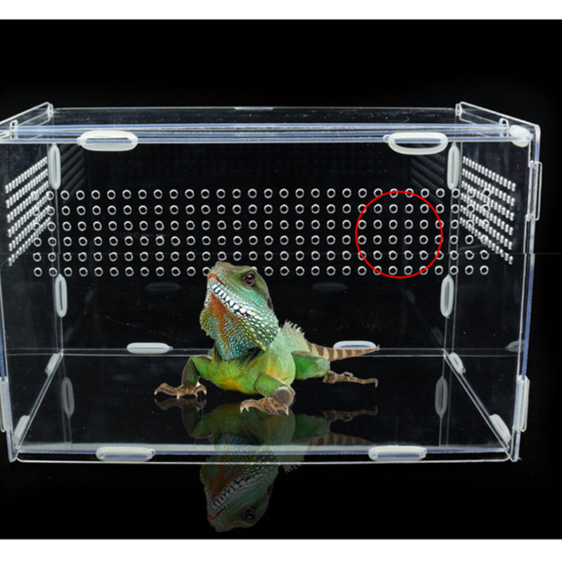 Transparent Acrylic Reptile Box for Spiders Tortoise Lizard Breeding Insect Box Vents Sliding Small Pet Terrarium Vivarium