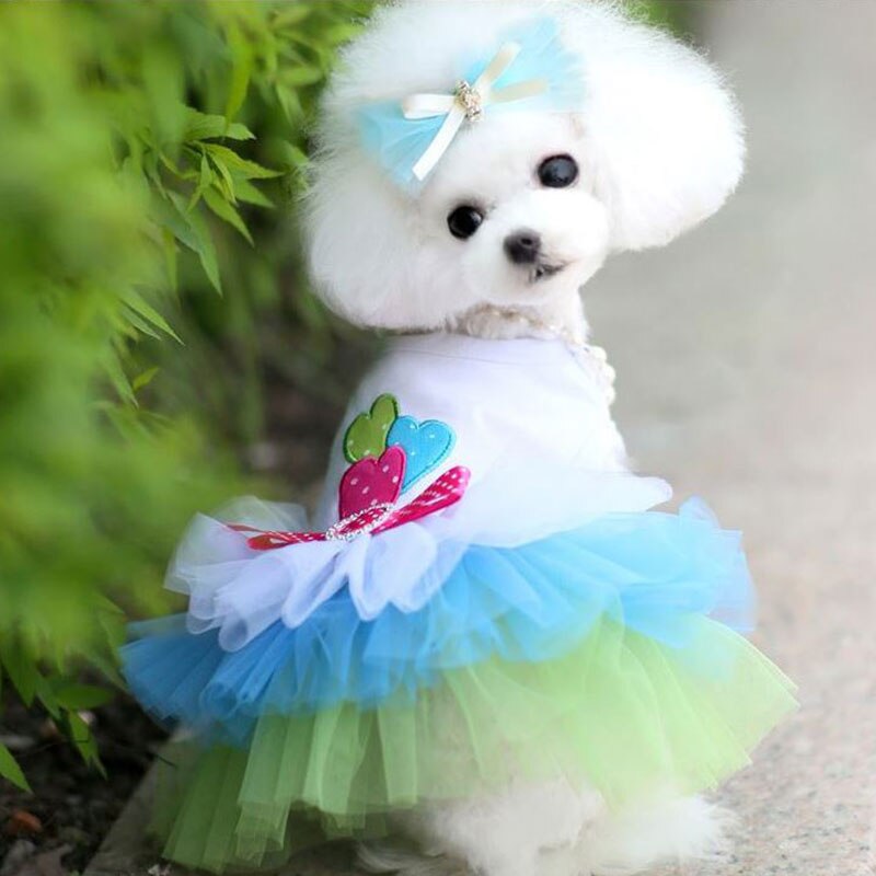 Jurk Voor Kleine Honden Hond Kleding Puppy Sweety Prinses Jurk Mooie Kant Rok Chihuahua Lente Zomer Kostuum Dierbenodigdheden
