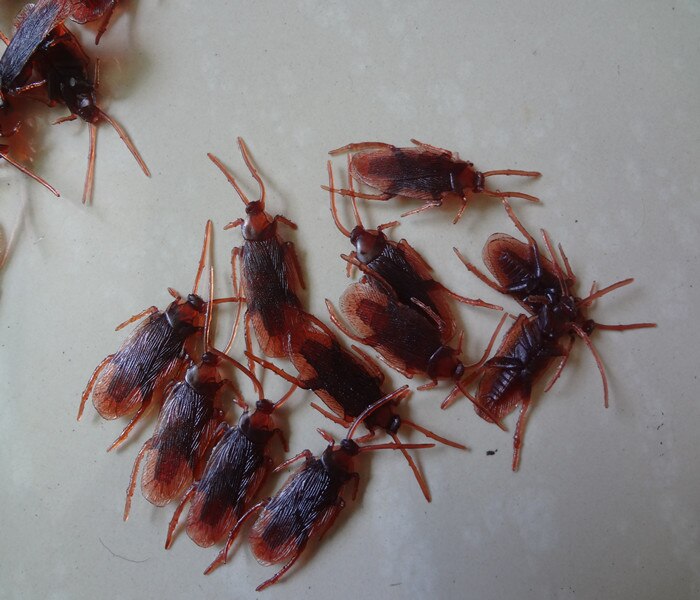 Aprilskämt leksaker knepigt hel människa hem kackerlacka simulering mört läskiga insekter