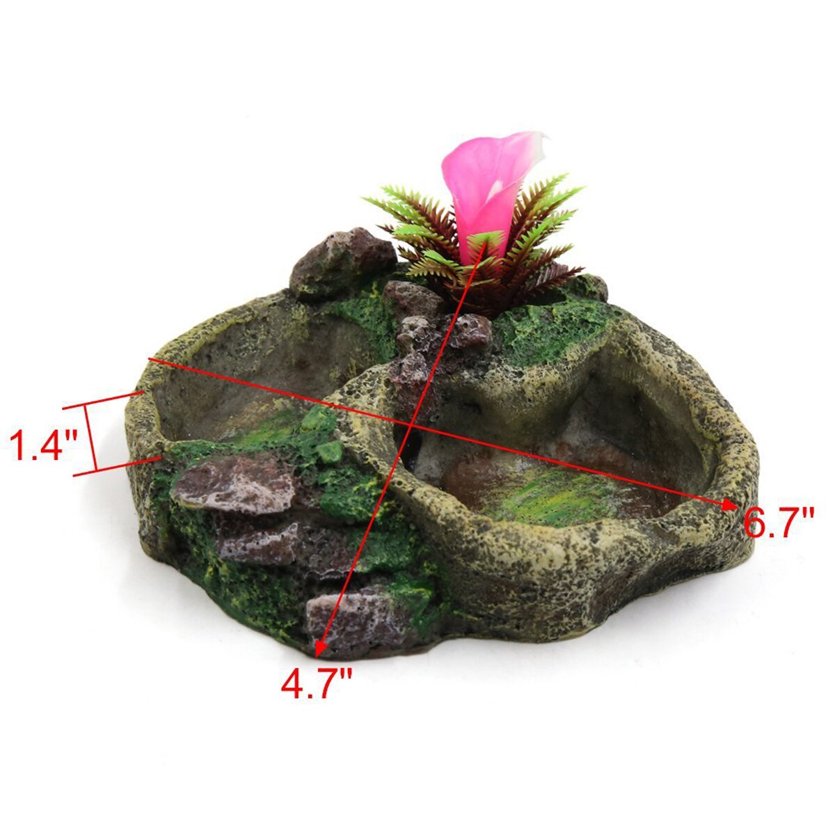Reptile Water Dish Food Bowl Resin Feeder Bowl for Tortoise Lizard Plant Decorative Resin Bowl Food Water Dish Feeder