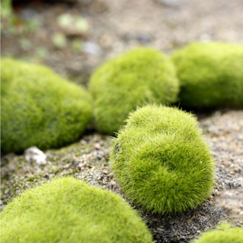 Nep Gras Moss Nep Rock Massaal Steen Nep Gazon Micro Landschap Succulent Diy Home Deco Tuin Decoratie Nep Planten