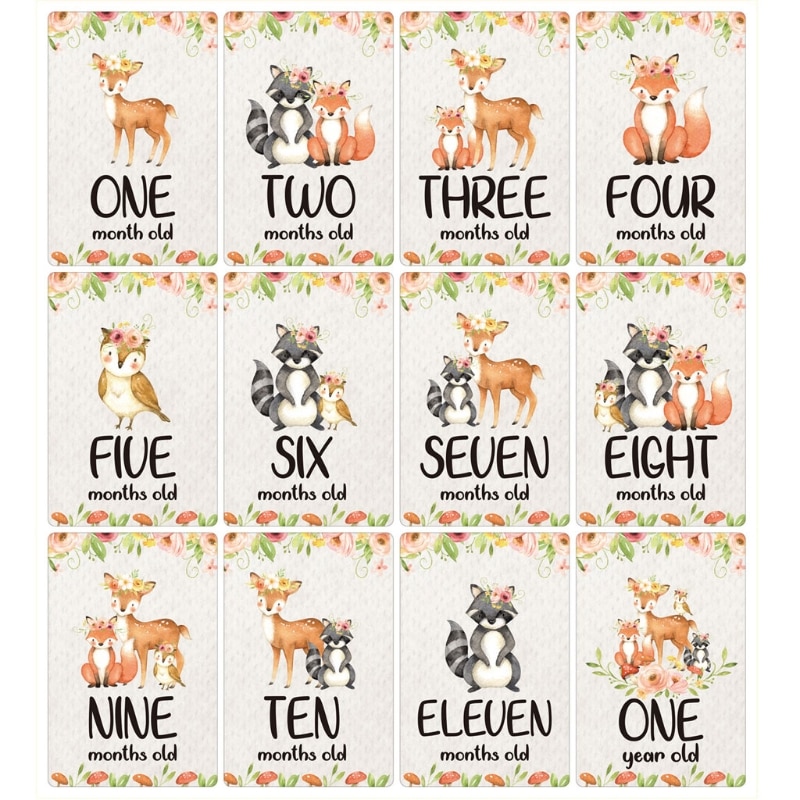 12 hojas de tarjetas de hitos mensuales para bebé, tarjetas de momento de utilería de fotos de nacimiento a 12 meses