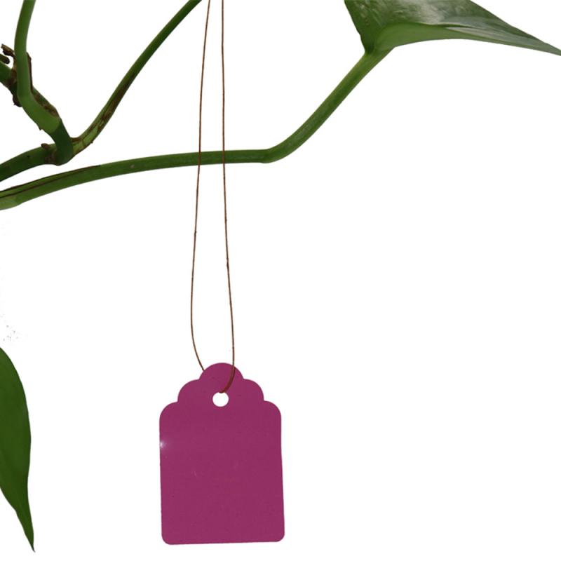 100 Pcs Waterproof Ribbon Line Plant Label Plant Tag Tag Flower Pot Marker Sign Gardening Decoration Gardening Tool: pink