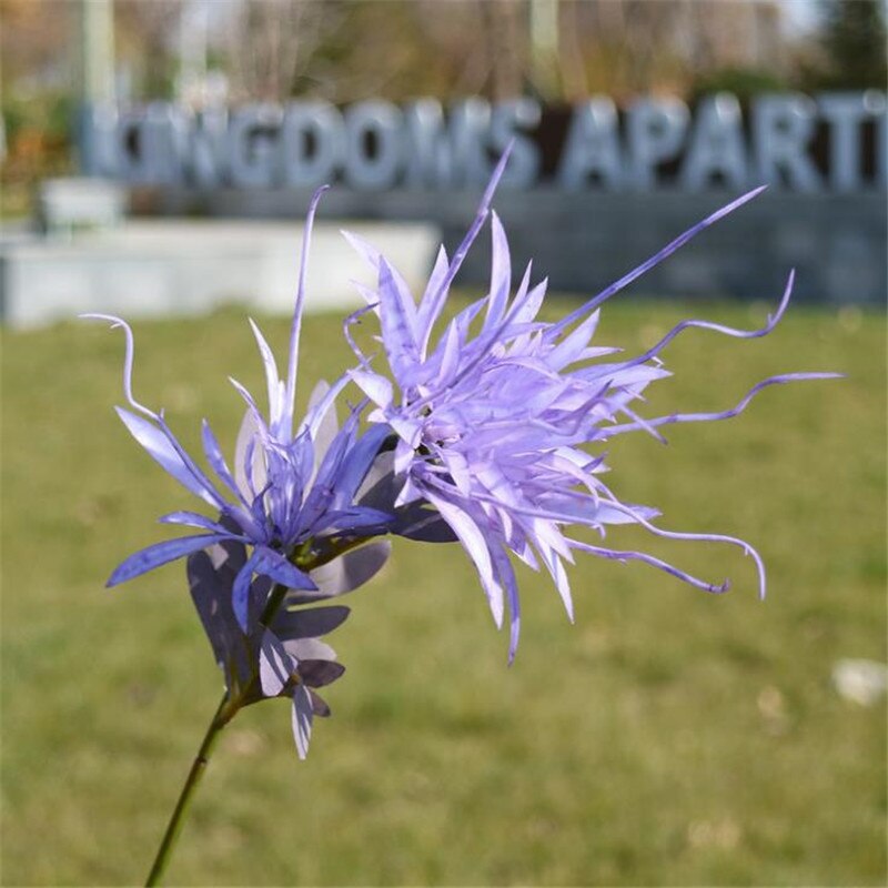 20Pcs Falso Epiphany (2 teste/pezzo) 24.41 "lunghezza di Simulazione Epiphyllum Oxypetalum per la Casa di Cerimonia Nuziale Fiore Artificiale Decorativo: 05
