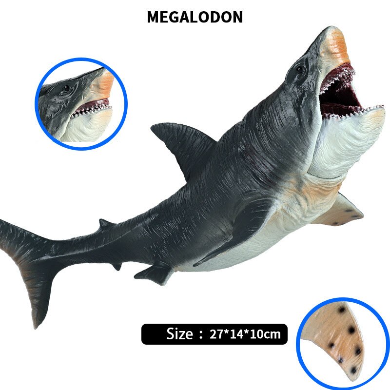 Simulation Hai Modell freundlicher Große Marine Ebene Spielzeug Realistische Biologische Megalodon Meer Quaddel freundlicher Pädagogisches Spielzeug