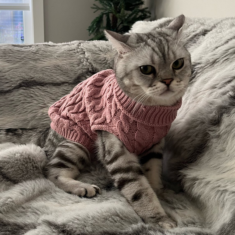 Gebreide kleding voor honden Chihuahua trui voor kleine honden Winterkleding voor Sphinx Kat Hondentrui voor York Warme hondenkleding