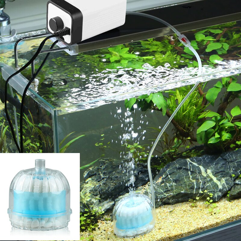 Mini Aquarium Spong Filter Lucht Zuurstof Aangedreven Pomp Fish Tank Biochemische Spons Doos Filter Mute Water Filter Aquarium Filter Tool