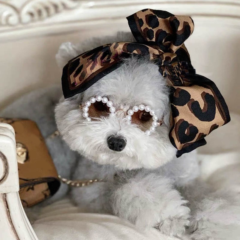 Luxe Bril Hond Parel Zonnebril Hoofdtooi Parel Zonnebril Eye Wear Bril Voor Kleine Hond Kat Foto's Rekwisieten Accessoires