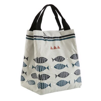 Portable Insulated Lunch Box Portable Cooler Lunch Bag Dinner Container School Food Storage Picnic Trip Cartoon Kids Women: B5  23X17X19CM