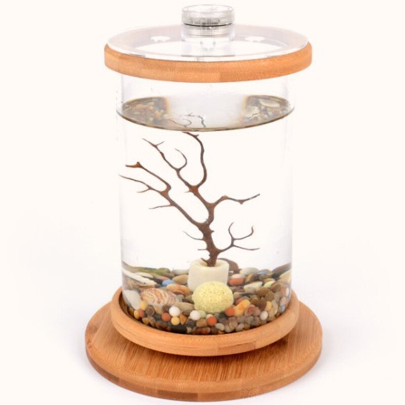 Manual Rotating Glass Fish Tank with Base Mini Cylinder Desktop Aquarium for Betta Diameter 10 cm Height 15 cm
