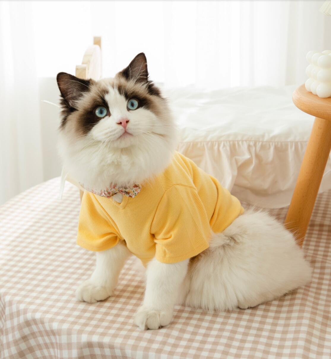 Pet Kleidung für Kleine Katzen Hunde Baumwolle Katze Kostüme Weichen Kätzchen Kitty Mantel Jacke Welpen Outfit: YELLOW / XL