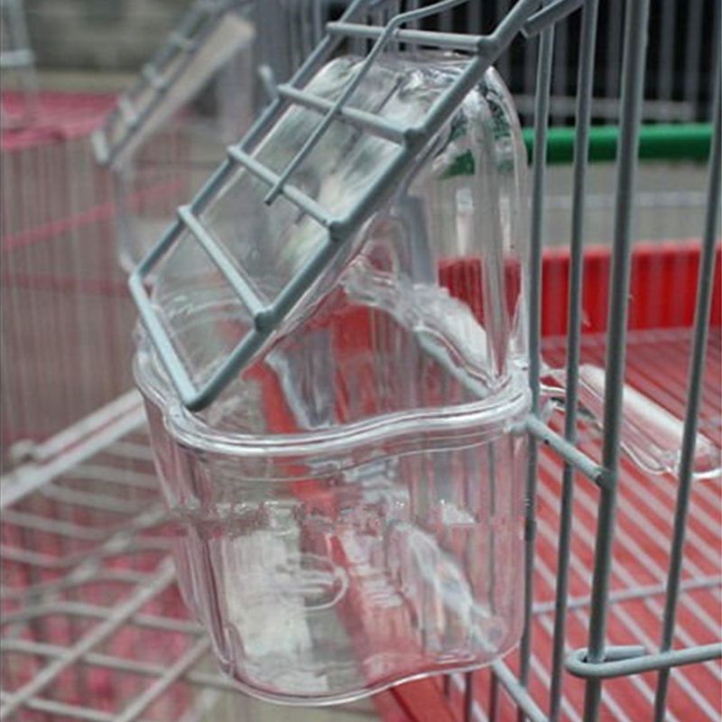 Cuenco transparente de plástico con forma de pájaro loro, cuenco de la empresa de agua limpia, caja de agua Silo, accesorio de pájaro para periquitos, canaria